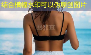 狼刀催促女奴人物关系｜身体通行证