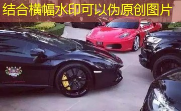 人与狗灵魂互换|救命!我变成了一条狗 人与狗灵魂互换|救命!我变成了一条狗